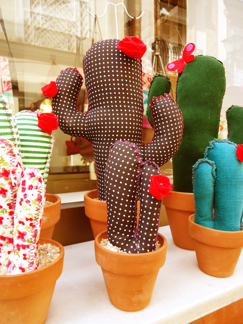 Pino Chimenea responder Los cactus de Kuska en la tienda ZÁLEZ – ZÁLEZ by Núria González